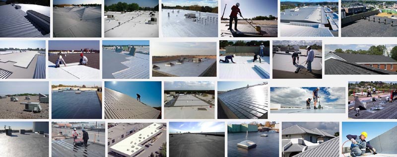 Flat Roof1