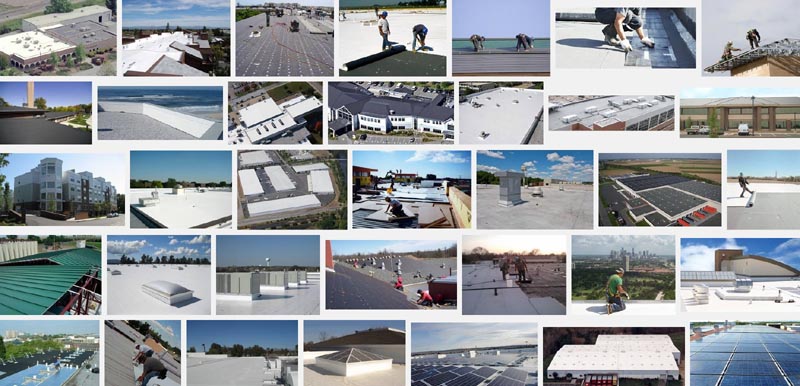 Flat Roof2